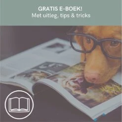 Comfort Company Praatknop Hond | Dogbuttons – Honden Speelgoed | Honden Speelgoed Intelligentie | 4 Stuks | Agility Voor De Hond | 30 Seconden Opnamen | Honden Training 15 Comfort Company Praatknop Hond | Dogbuttons – Honden Speelgoed | Honden Speelgoed Intelligentie | 4 Stuks | Agility Voor De Hond | 30 Seconden Opnamen | Honden Training -Hondenbenodigdheden 1200x1198 15