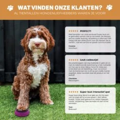 Vulpes Pets® PRO Praatknop Voor Honden - Dogbuttons - Laat Uw Huisdier Spreken - Hondenspeelgoed - Honden Training - Incl. E-Book & Trainingsstickers -Hondenbenodigdheden 1200x1198 16