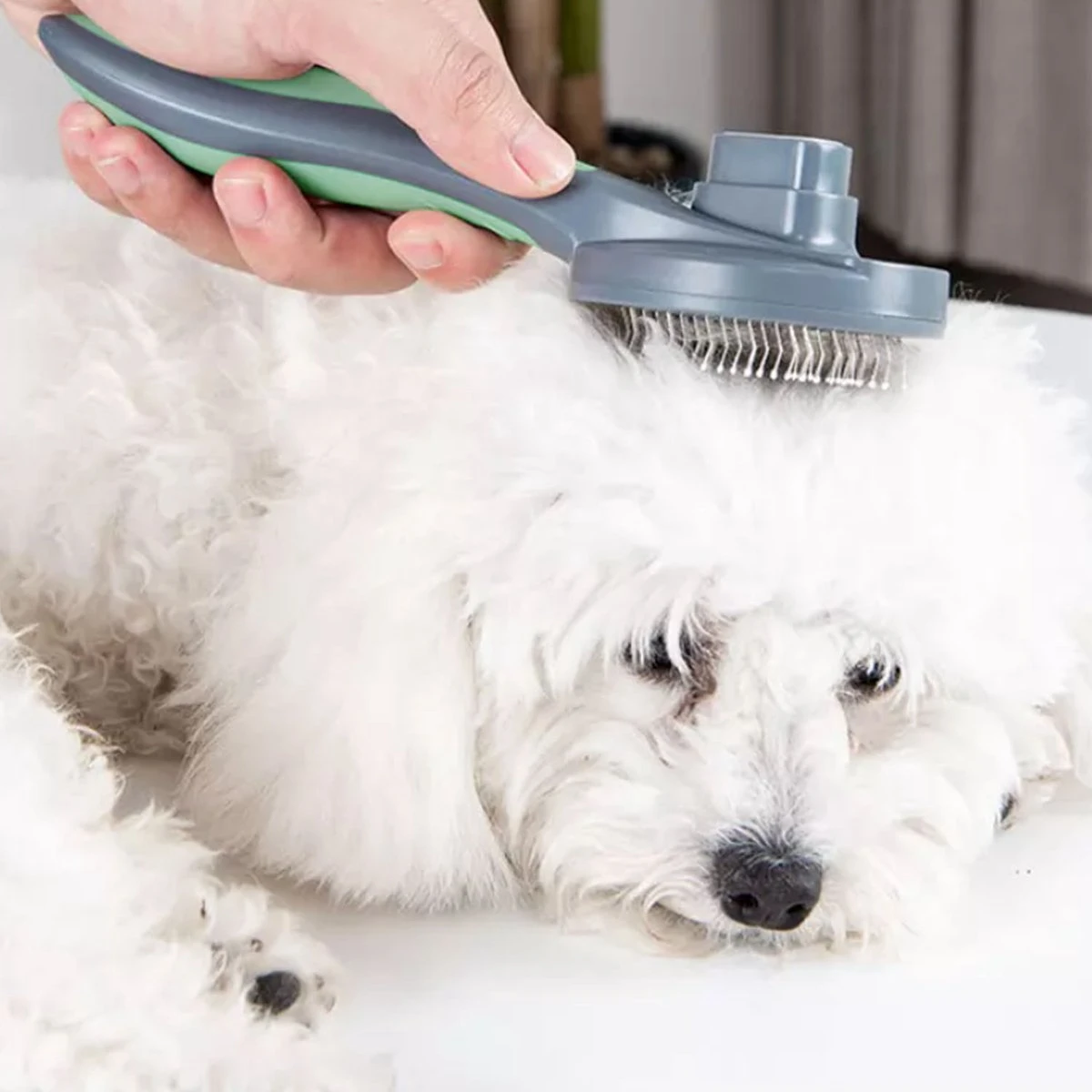 Pakeway Kattenborstel – Hondenborstel – Haarverwijderaar Voor Huisdieren – Kattenkam - Kortharig - Langharig - Inclusief Ebook! 6 Pakeway Kattenborstel – Hondenborstel – Haarverwijderaar Voor Huisdieren – Kattenkam - Kortharig - Langharig - Inclusief Ebook! - Afbeelding 6