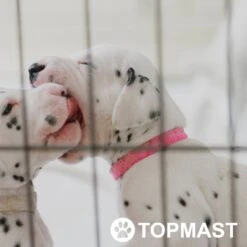 Topmast Puppyren Uitvouwbaar - Zwart - 560 Cm Omtrek - 60 Cm Hoog - Opvouwbaar XL - Hondenren -Hondenbenodigdheden 1200x1200 1029