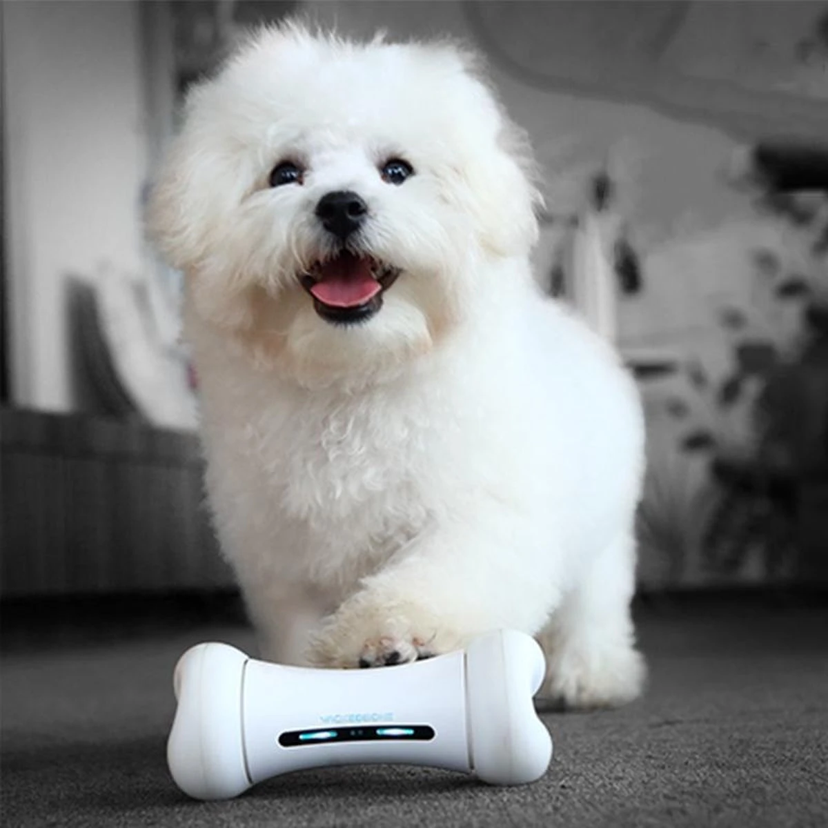 Wickedbone - Automatisch, Interactief En Intelligent Speelgoed Voor Honden - App & Bluetooth Bestuurbaar - USB Oplaadbaar 7 Wickedbone - Automatisch, Interactief En Intelligent Speelgoed Voor Honden - App & Bluetooth Bestuurbaar - USB Oplaadbaar - Afbeelding 7