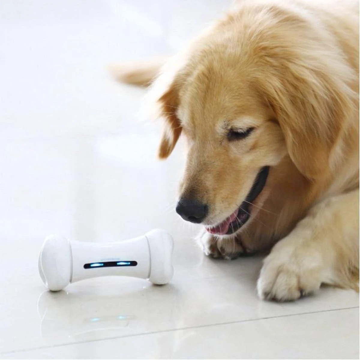 Wickedbone - Automatisch, Interactief En Intelligent Speelgoed Voor Honden - App & Bluetooth Bestuurbaar - USB Oplaadbaar 10 Wickedbone - Automatisch, Interactief En Intelligent Speelgoed Voor Honden - App & Bluetooth Bestuurbaar - USB Oplaadbaar - Afbeelding 10