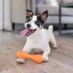 West Paw Zogoflex Hurley - Super Sterk Kauwbot Voor Honden - Kleur: Blauw, Maat: Large -Hondenbenodigdheden 1200x1200 1100