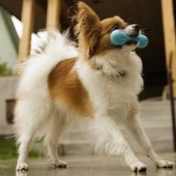 West Paw Zogoflex Hurley - Super Sterk Kauwbot Voor Honden - Kleur: Blauw, Maat: Large -Hondenbenodigdheden 1200x1200 1101