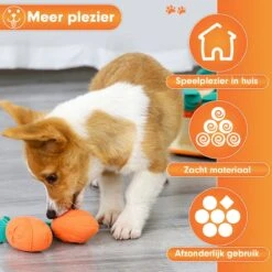 Premium Snuffelmat Voor Hond En Kat - Intelligentie Speelgoed - Snuffel Mat Puppy - IQ Hondenspeeltjes - Educatieve Training Huisdier - Snuffeltrainer Hondenpuzzel - Educatief Speelgoed - Vetalo -Hondenbenodigdheden 1200x1200 1121
