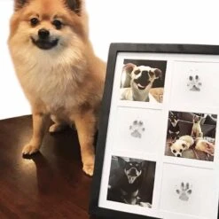 Merkloos Paw Print Pad - Pootafdruk Maken Van Hond Of Kat -Hondenbenodigdheden 1200x1200 1133