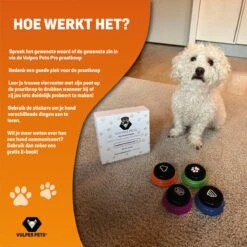 Vulpes Pets® PRO Praatknop Voor Honden Met Speelmat - Dogbuttons - Laat Uw Huisdier Spreken - Hondenspeelgoed - Honden Training - Inclusief E-Book En Speelmat -Hondenbenodigdheden 1200x1200 1145