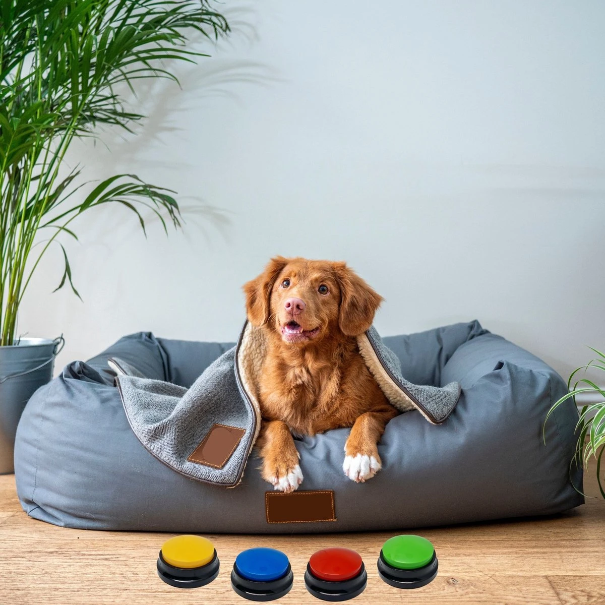 Comfort Company Praatknop Hond | Dogbuttons – Honden Speelgoed | Honden Speelgoed Intelligentie | 4 Stuks | Agility Voor De Hond | 30 Seconden Opnamen | Honden Training 9 Comfort Company Praatknop Hond | Dogbuttons – Honden Speelgoed | Honden Speelgoed Intelligentie | 4 Stuks | Agility Voor De Hond | 30 Seconden Opnamen | Honden Training - Afbeelding 9