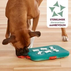 Nina Ottosson Dog Casino - Turquoise/Oranje - 31,5 X 26 X 4,5 Cm -Hondenbenodigdheden 1200x1200 1153