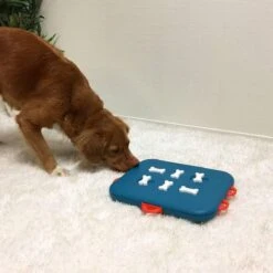 Nina Ottosson Dog Casino - Turquoise/Oranje - 31,5 X 26 X 4,5 Cm -Hondenbenodigdheden 1200x1200 1155