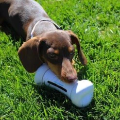 Cheerble Wickedbone|Automatisch Hondenspeeltje|Interactief En Intelligent Speelgoed Voor Honden|App & Bluetooth Bestuurbaar|USB Oplaadbaar -Hondenbenodigdheden 1200x1200 1174