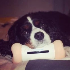 Cheerble Wickedbone|Automatisch Hondenspeeltje|Interactief En Intelligent Speelgoed Voor Honden|App & Bluetooth Bestuurbaar|USB Oplaadbaar -Hondenbenodigdheden 1200x1200 1175