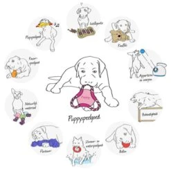 Trixie Honden Activity Flip Board - Hondenspeelgoed - Wit/Blauw - 23 Cm -Hondenbenodigdheden 1200x1200 1178