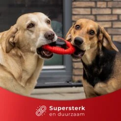 Kauwbot Stuurwiel 2.0 Extra Sterk Melk Geur Smaak En Piep Honden Speelgoed - Kauwspeelgoed Bot Hond - Dutchwide -Hondenbenodigdheden 1200x1200 1184