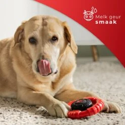 Kauwbot Stuurwiel 2.0 Extra Sterk Melk Geur Smaak En Piep Honden Speelgoed - Kauwspeelgoed Bot Hond - Dutchwide -Hondenbenodigdheden 1200x1200 1186