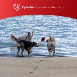 Kauwbot Stuurwiel 2.0 Extra Sterk Melk Geur Smaak En Piep Honden Speelgoed - Kauwspeelgoed Bot Hond - Dutchwide -Hondenbenodigdheden 1200x1200 1187