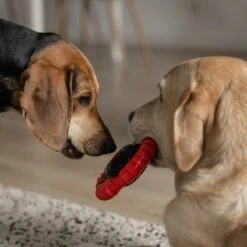 Kauwbot Stuurwiel 2.0 Extra Sterk Melk Geur Smaak En Piep Honden Speelgoed - Kauwspeelgoed Bot Hond - Dutchwide -Hondenbenodigdheden 1200x1200 1188