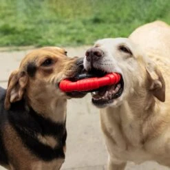 Kauwbot Stuurwiel 2.0 Extra Sterk Melk Geur Smaak En Piep Honden Speelgoed - Kauwspeelgoed Bot Hond - Dutchwide -Hondenbenodigdheden 1200x1200 1189