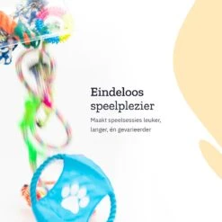 All 4 Pets Supply® Honden Speelgoed Set Geschikt Voor Puppy's T/m Middelgrote Honden - 12 Stuks - Hondenspeeltjes - Intelligentie - Touw - Flostouw - Bijtring - Bal 12 All 4 Pets Supply® Honden Speelgoed Set Geschikt Voor Puppy's T/m Middelgrote Honden - 12 Stuks - Hondenspeeltjes - Intelligentie - Touw - Flostouw - Bijtring - Bal -Hondenbenodigdheden 1200x1200 1215