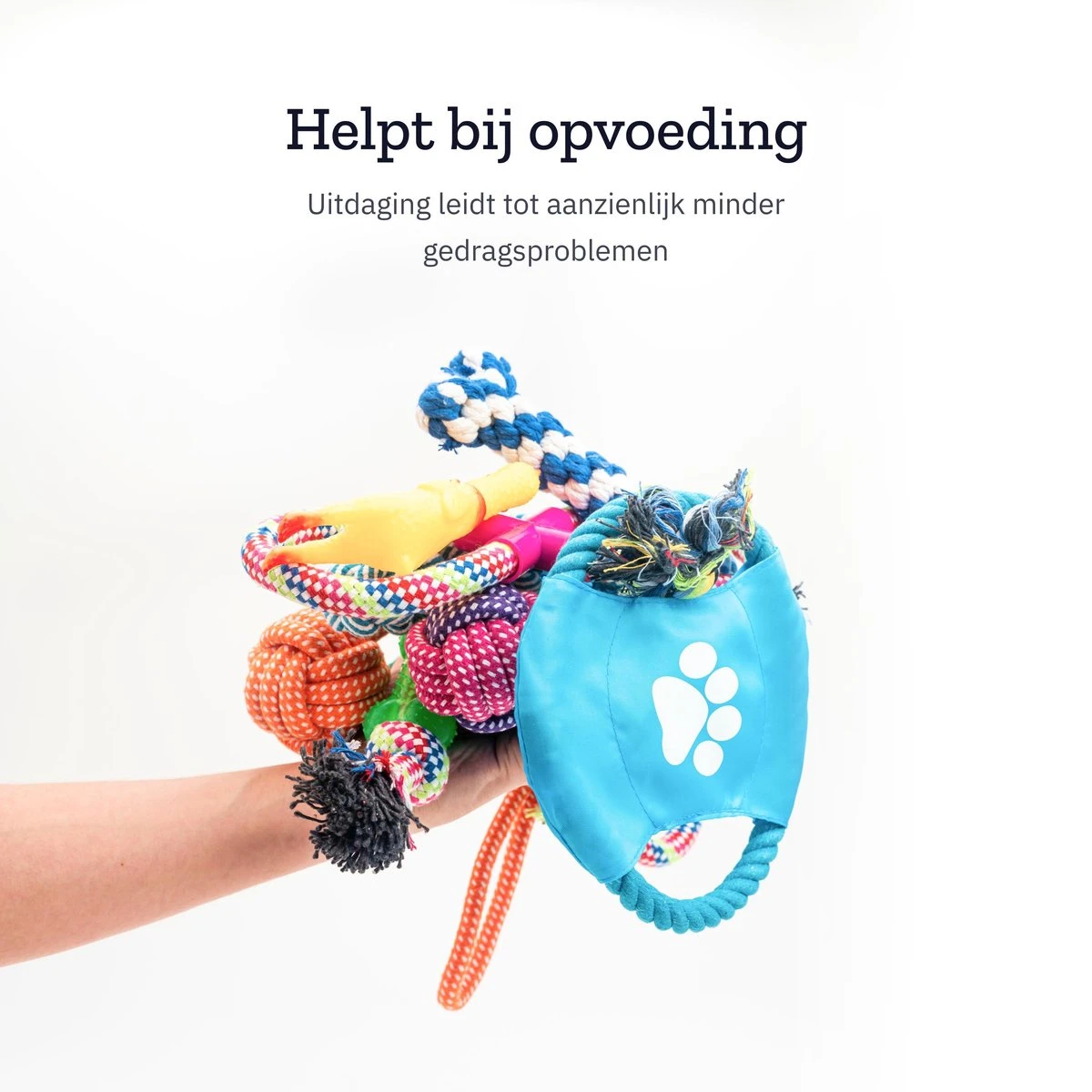 All 4 Pets Supply® Honden Speelgoed Set Geschikt Voor Puppy's T/m Middelgrote Honden - 12 Stuks - Hondenspeeltjes - Intelligentie - Touw - Flostouw - Bijtring - Bal 4 All 4 Pets Supply® Honden Speelgoed Set Geschikt Voor Puppy's T/m Middelgrote Honden - 12 Stuks - Hondenspeeltjes - Intelligentie - Touw - Flostouw - Bijtring - Bal - Afbeelding 4