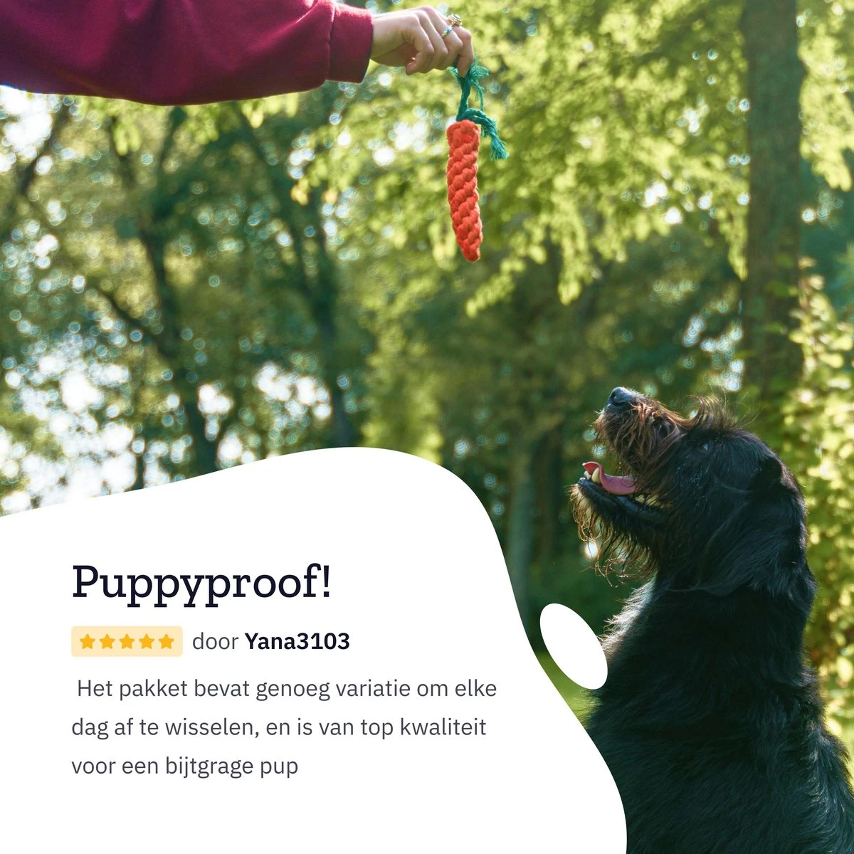 All 4 Pets Supply® Honden Speelgoed Set Geschikt Voor Puppy's T/m Middelgrote Honden - 12 Stuks - Hondenspeeltjes - Intelligentie - Touw - Flostouw - Bijtring - Bal 9 All 4 Pets Supply® Honden Speelgoed Set Geschikt Voor Puppy's T/m Middelgrote Honden - 12 Stuks - Hondenspeeltjes - Intelligentie - Touw - Flostouw - Bijtring - Bal - Afbeelding 9