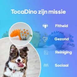 TocaDino - Kauwspeelgoed - Honden - Speelgoed Voor Honden - Reiniging - Dental - Blauw 10 TocaDino - Kauwspeelgoed - Honden - Speelgoed Voor Honden - Reiniging - Dental - Blauw -Hondenbenodigdheden 1200x1200 1222
