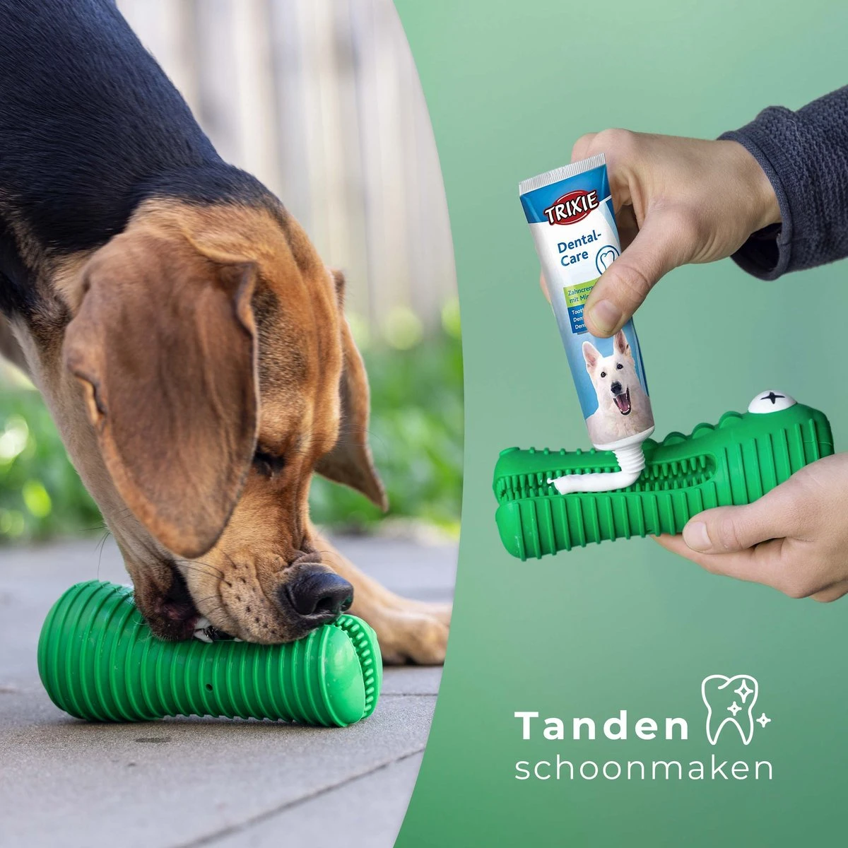 Tandenborstel Hond Melk Geur Smaak En Piep Honden Speelgoed Dog Toy - Krokodil Groen - Dutchwide 2 Tandenborstel Hond Melk Geur Smaak En Piep Honden Speelgoed Dog Toy - Krokodil Groen - Dutchwide - Afbeelding 2