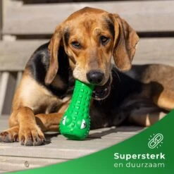Tandenborstel Hond Melk Geur Smaak En Piep Honden Speelgoed Dog Toy - Krokodil Groen - Dutchwide 12 Tandenborstel Hond Melk Geur Smaak En Piep Honden Speelgoed Dog Toy - Krokodil Groen - Dutchwide -Hondenbenodigdheden 1200x1200 1224