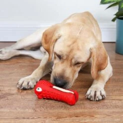 Tandenborstel Hond Melk Geur Smaak En Piep Honden Speelgoed Dog Toy - Krokodil Groen - Dutchwide 19 Tandenborstel Hond Melk Geur Smaak En Piep Honden Speelgoed Dog Toy - Krokodil Groen - Dutchwide -Hondenbenodigdheden 1200x1200 1228