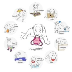 Kong Puppy Goodie Bone Small Small - 1 ST -Hondenbenodigdheden 1200x1200 1268