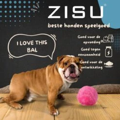 Merkloos Magic Roller Ball – Honden Speelgoed – Kattenspeeltjes - Honden Speeltjes - Kattenspeelgoed - INCLUSIEF BATTERIJ -Hondenbenodigdheden 1200x1200 1282