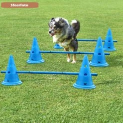 Agility Voor De Hond - Honden Training - Dog Activity - Behendigheid Hond - Parcours -Hondenbenodigdheden 1200x1200 1300