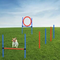 Merkloos Honden Agility Set - 23-delig - Agility Voor De Hond - Agility - Honden Parcours - Honden Training - Rood/Blauw -Hondenbenodigdheden 1200x1200 1309