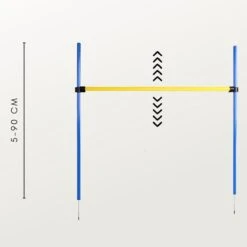 Agility Voor De Hond - Agility Set- Hondentunnel 300 Cm- Slalom Set - Horde - Startveld - Honden Behendigheidsset - 16 Delig - Tunnel - Slalom - Horde - Agility Set Voor De Hond - Agility Set -Hondenbenodigdheden 1200x1200 1339