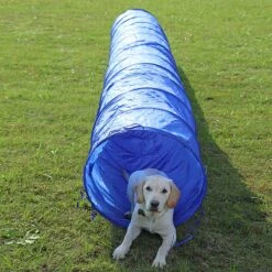 Agility Voor De Hond - Agility Set- Hondentunnel 300 Cm- Slalom Set - Horde - Startveld - Honden Behendigheidsset - 16 Delig - Tunnel - Slalom - Horde - Agility Set Voor De Hond - Agility Set -Hondenbenodigdheden 1200x1200 1343
