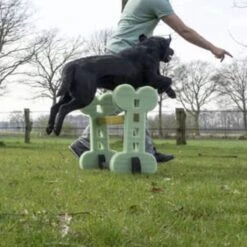 Dog Agility Set Indoor En Outdoor - Honden Trainingsset - -Hondenbenodigdheden 1200x1200 1363
