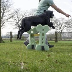 Dog Agility Set Indoor En Outdoor - Honden Trainingsset - -Hondenbenodigdheden 1200x1200 1364