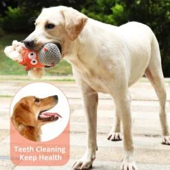 Merkloos Hondenknuffel - Interactief Piepspeelgoed Voor Honden - Teddy - Stoer Hondenkauwspeelgoed - Met Katoenen Materiaal En Gekreukt Papier - Hondenspeelgoed Voor Grote En Kleine Honden 16 Merkloos Hondenknuffel - Interactief Piepspeelgoed Voor Honden - Teddy - Stoer Hondenkauwspeelgoed - Met Katoenen Materiaal En Gekreukt Papier - Hondenspeelgoed Voor Grote En Kleine Honden -Hondenbenodigdheden 1200x1200 1377