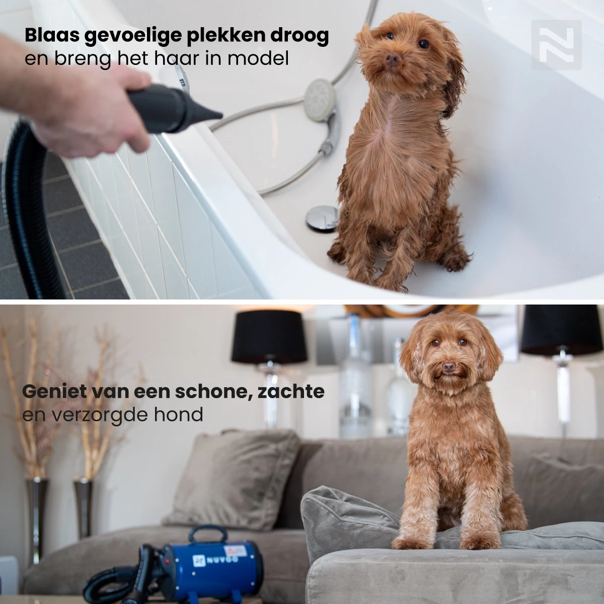 Nuvoo Professionele Hondenföhn / Waterblazer / Hondenborstel Met 3 Opzetstukken - Verstelbare Vermogen Tot 2200W - Warme / Koude Stand - Rood 5 Nuvoo Professionele Hondenföhn / Waterblazer / Hondenborstel Met 3 Opzetstukken - Verstelbare Vermogen Tot 2200W - Warme / Koude Stand - Rood - Afbeelding 5