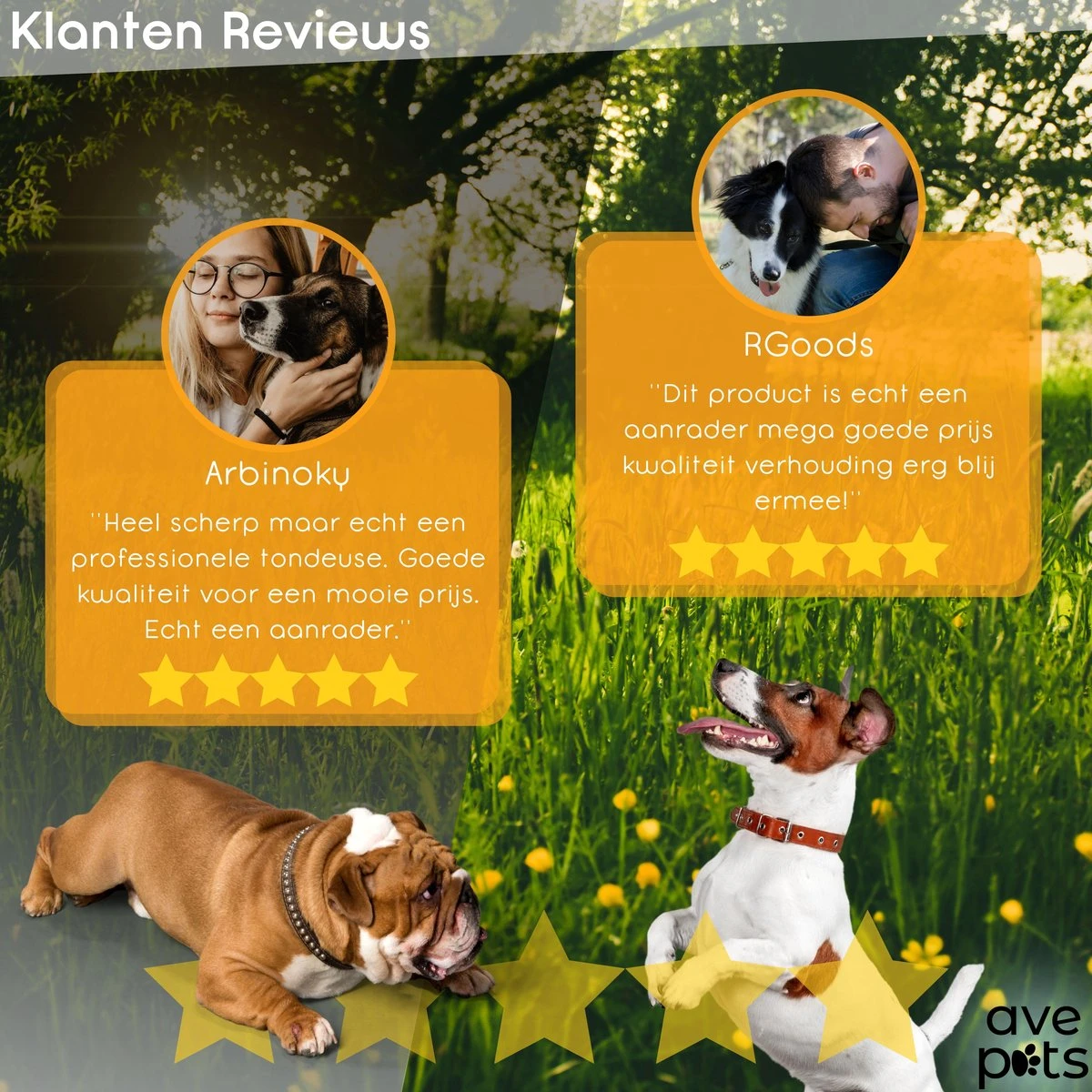 AVE Pets® Complete Hondentondeuse Set - Draadloos Tondeuse - Scheerapparaat Voor Je Hond Of Kat - Huisdier Trimmer - Professionele Dierentondeuse - Dieren Verzorging 5 AVE Pets® Complete Hondentondeuse Set - Draadloos Tondeuse - Scheerapparaat Voor Je Hond Of Kat - Huisdier Trimmer - Professionele Dierentondeuse - Dieren Verzorging - Afbeelding 5