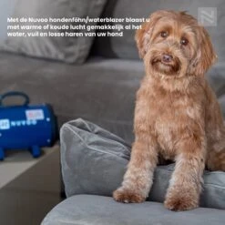 Nuvoo Professionele Hondenföhn / Waterblazer / Hondenborstel Met 3 Opzetstukken - Verstelbare Vermogen Tot 2200W - Warme / Koude Stand - Zwart 16 Nuvoo Professionele Hondenföhn / Waterblazer / Hondenborstel Met 3 Opzetstukken - Verstelbare Vermogen Tot 2200W - Warme / Koude Stand - Zwart -Hondenbenodigdheden 1200x1200 230
