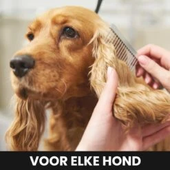 Hondentondeuse - Honden & Katten - Trimmer - Geluidsloos -Hondenbenodigdheden 1200x1200 233