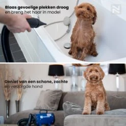 Nuvoo Professionele Hondenföhn / Waterblazer / Hondenborstel Met 3 Opzetstukken - Verstelbare Vermogen Tot 2200W - Warme / Koude Stand - Roze 13 Nuvoo Professionele Hondenföhn / Waterblazer / Hondenborstel Met 3 Opzetstukken - Verstelbare Vermogen Tot 2200W - Warme / Koude Stand - Roze -Hondenbenodigdheden 1200x1200 258