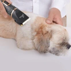 Tjilla Professionele Dieren/honden Tondeuse Set Extra Krachtig - Honden Trimmer - Lang Of Kortharige Huisdieren Katten & Honden - Draadloos - Weinig Geluid -Hondenbenodigdheden 1200x1200 277