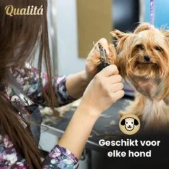 Merkloos Professionele Honden Tondeuse Set - Tondeuse Voor Huisdier Honden En Katten - Hondentrimmer - Hondentondeuse -Hondenbenodigdheden 1200x1200 310