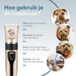 BYER Professionele Dieren Tondeuse Set - Voor Huisdieren Katten & Honden - Draadloos - Oplaadbare Pet Trimmer - Dog Tondeuze Clipper - 5 Standen & Vier Opzetkammen - Low Noise -Hondenbenodigdheden 1200x1200 314