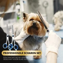 BeautyFit - 16-delig Hondentondeuse Set - Professionele Honden Trimset - Dieren Tondeuse Voor Dikke Vacht - Meest Complete Set - Inclusief 4 Opzetkammen - Hondenschaar - Mist Verstuiver - Handschoen Borstel - Nagelknipper -Hondenbenodigdheden 1200x1200 318