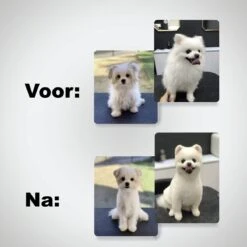 VoordeelShop 7-Delige Huisdier Knipset Met Etui - Trimmen Hond - Honden Schaar - Effileerschaar Hond - Huisdier Trimmer - Huisdier Knippen - Knipschaar Haar - Haar Schaar - Kapper - Kapperset - Scharenset -Hondenbenodigdheden 1200x1200 326