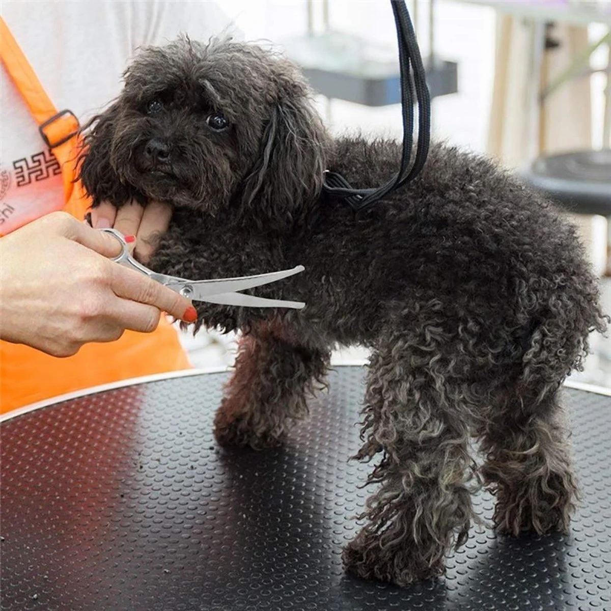 Merkloos Premium Gebogen Trimschaar Honden - Huisdier Trimmen - Hoofd, Poten Ogen & Oren - Kat & Hond Knippen - Veilige Schaar 3 Merkloos Premium Gebogen Trimschaar Honden - Huisdier Trimmen - Hoofd, Poten Ogen & Oren - Kat & Hond Knippen - Veilige Schaar - Afbeelding 3