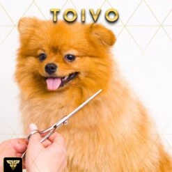 Toivo Schaar Voor Dieren - Zilver - Effileerscharen - Honden Scharenset - Dierenschaar - Set 5 Stuks - Trimscharen - Trimset - Uitdunschaar Hond - Schaar Honden -Hondenbenodigdheden 1200x1200 335